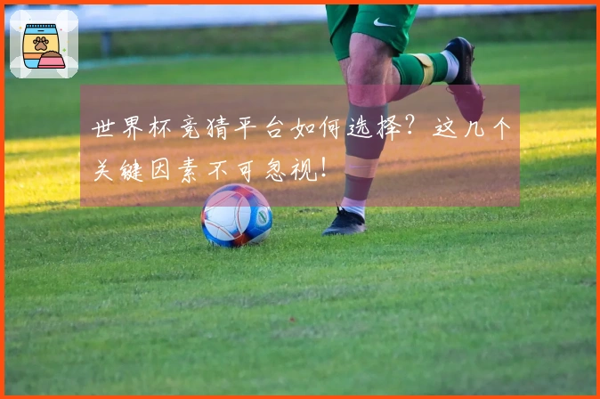 世界杯竞猜平台如何选择？这几个关键因素不可忽视！