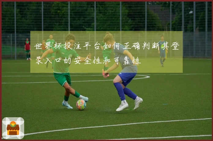 世界杯投注平台如何正确判断其登录入口的安全性和可靠性