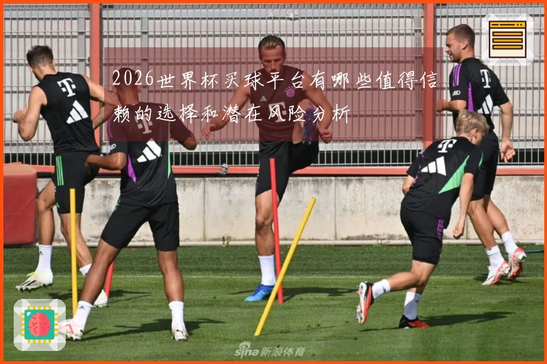 2026世界杯买球平台有哪些值得信赖的选择和潜在风险分析