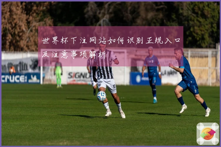 世界杯下注网站如何识别正规入口及注意事项解析