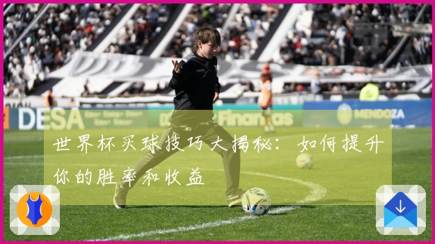 世界杯买球技巧大揭秘：如何提升你的胜率和收益
