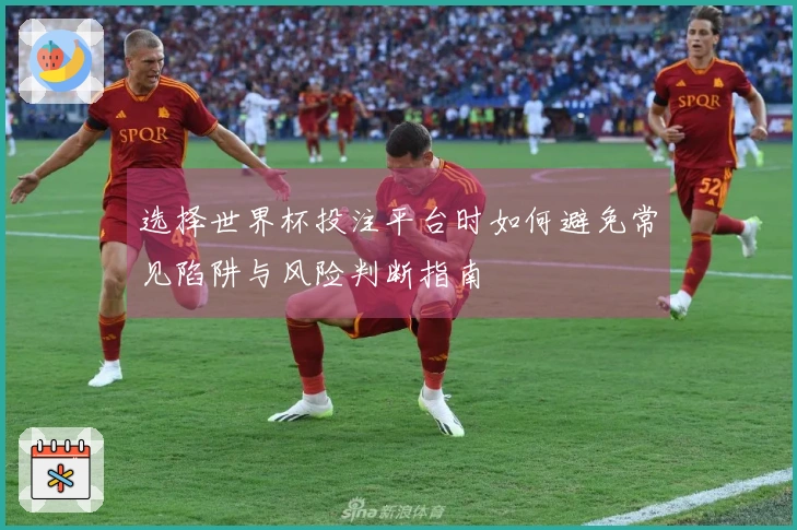 选择世界杯投注平台时如何避免常见陷阱与风险判断指南