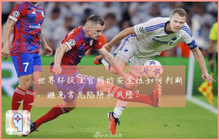 世界杯投注官网的安全性如何判断，避免常见陷阱和风险？