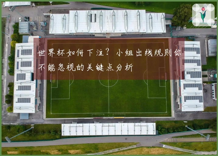 世界杯如何下注？小组出线规则你不能忽视的关键点分析
