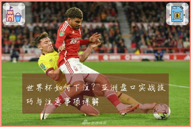 世界杯如何下注？亚洲盘口实战技巧与注意事项详解