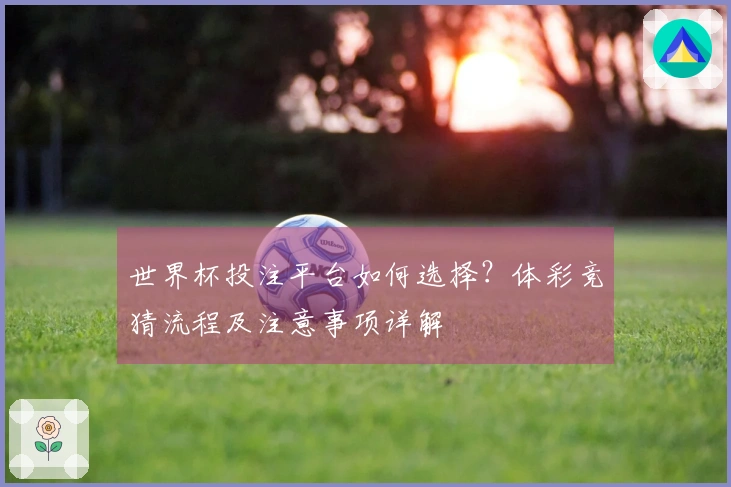 世界杯投注平台如何选择？体彩竞猜流程及注意事项详解