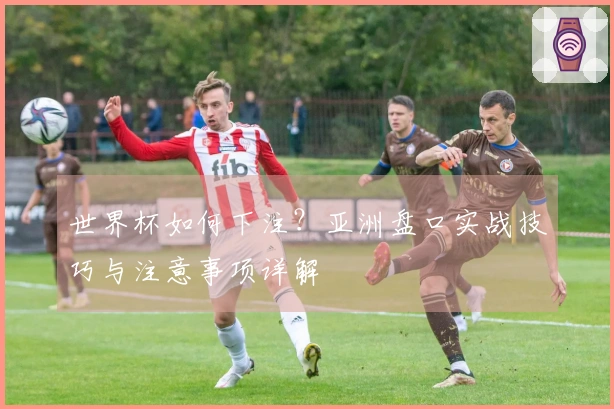 世界杯如何下注？亚洲盘口实战技巧与注意事项详解