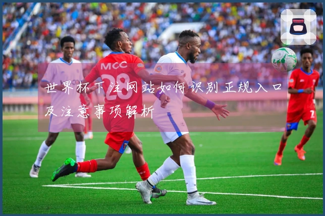 世界杯下注网站如何识别正规入口及注意事项解析
