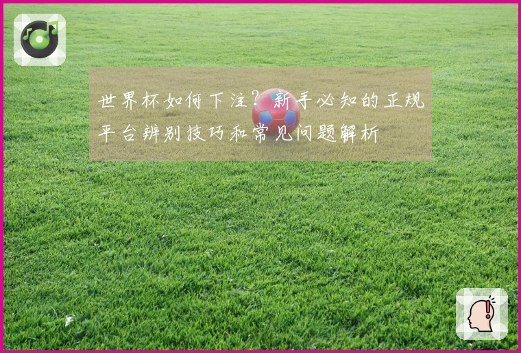 世界杯如何下注？新手必知的正规平台辨别技巧和常见问题解析