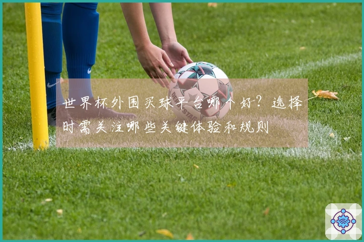 世界杯外围买球平台哪个好？选择时需关注哪些关键体验和规则