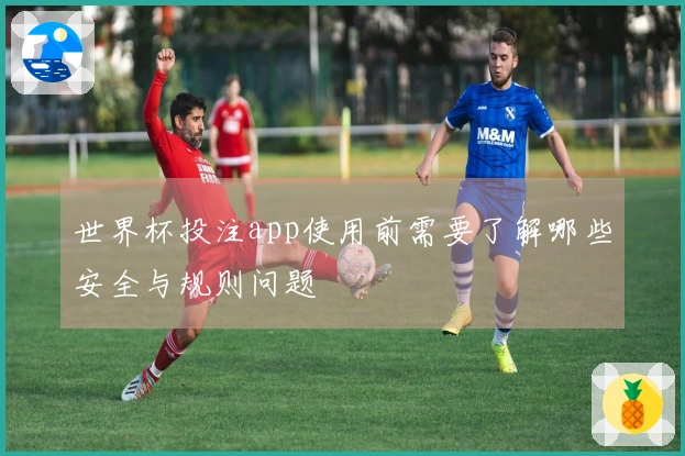 世界杯投注app使用前需要了解哪些安全与规则问题