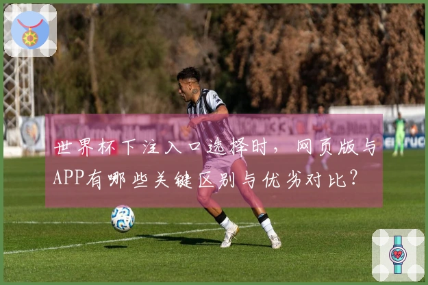 世界杯下注入口选择时，网页版与APP有哪些关键区别与优劣对比？