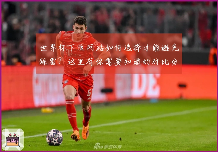世界杯下注网站如何选择才能避免踩雷？这里有你需要知道的对比分析！