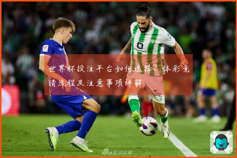 世界杯投注平台如何选择？体彩竞猜流程及注意事项详解
