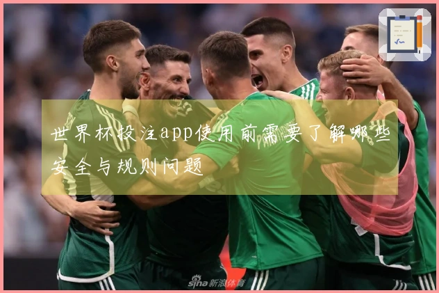 世界杯投注app使用前需要了解哪些安全与规则问题