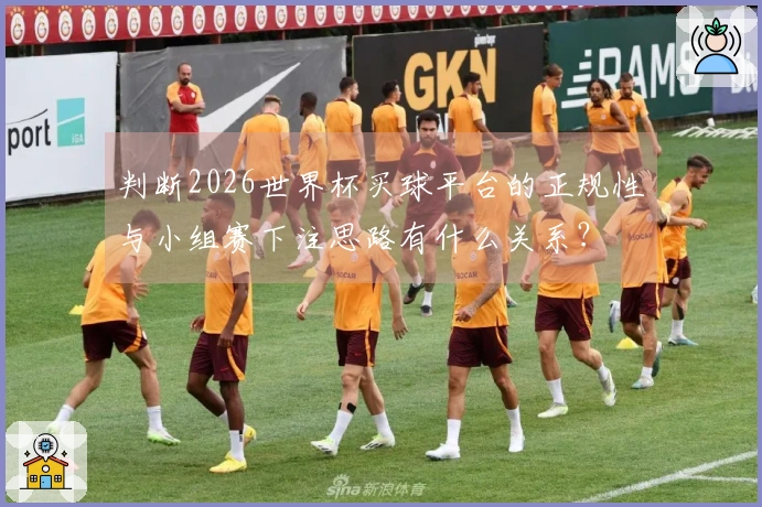 判断2026世界杯买球平台的正规性与小组赛下注思路有什么关系？