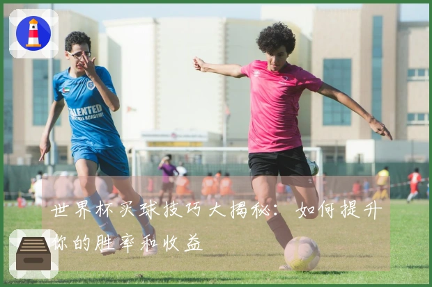 世界杯买球技巧大揭秘：如何提升你的胜率和收益