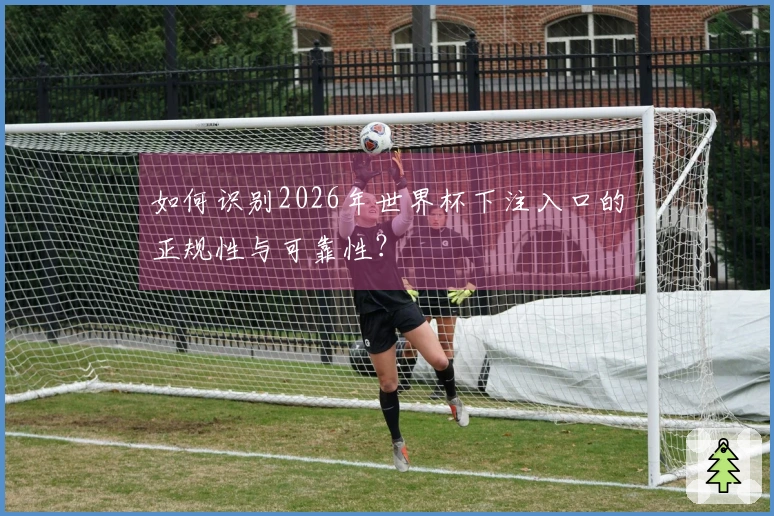如何识别2026年世界杯下注入口的正规性与可靠性？