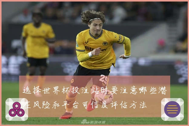选择世界杯投注站时要注意哪些潜在风险和平台可信度评估方法